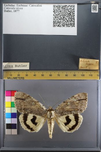 Media type: image;   Entomology 751027